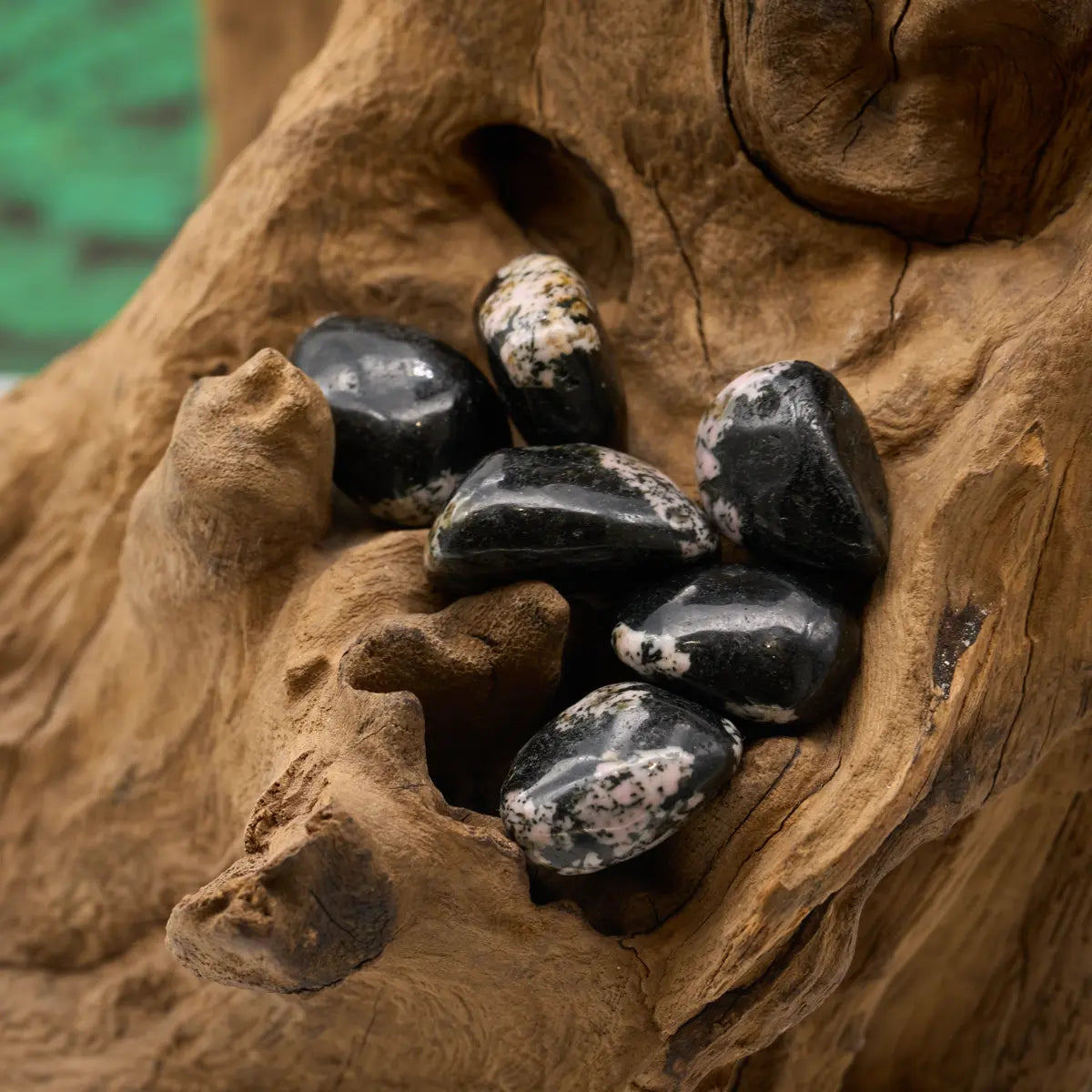 gemustert – erdet und stärkt Schutzenergie.