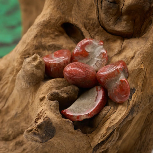 Leuchtend rote Koralle – aktiviert Herzenergie und Lebenskraft.