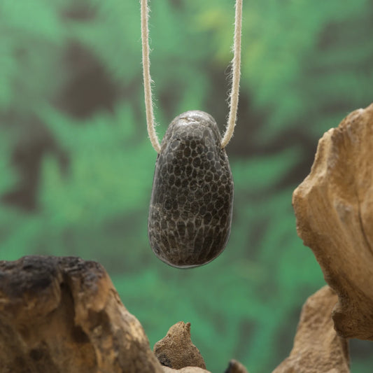 Schwarze Koralle – Schutz, Ausgeglichenheit und innere Ruhe.