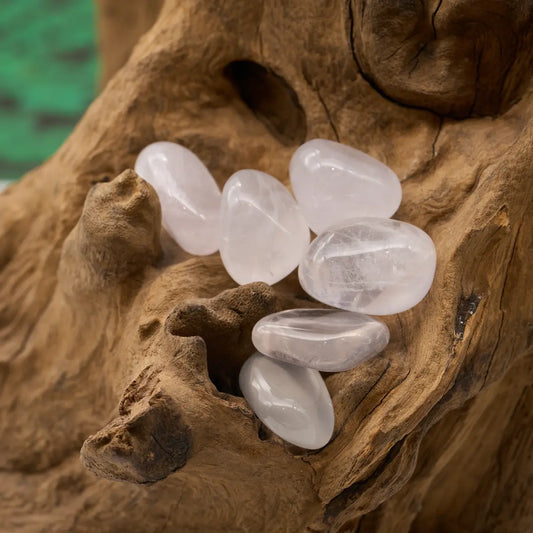 Zartviolett – harmonisiert Gefühle und stärkt Vertrauen.