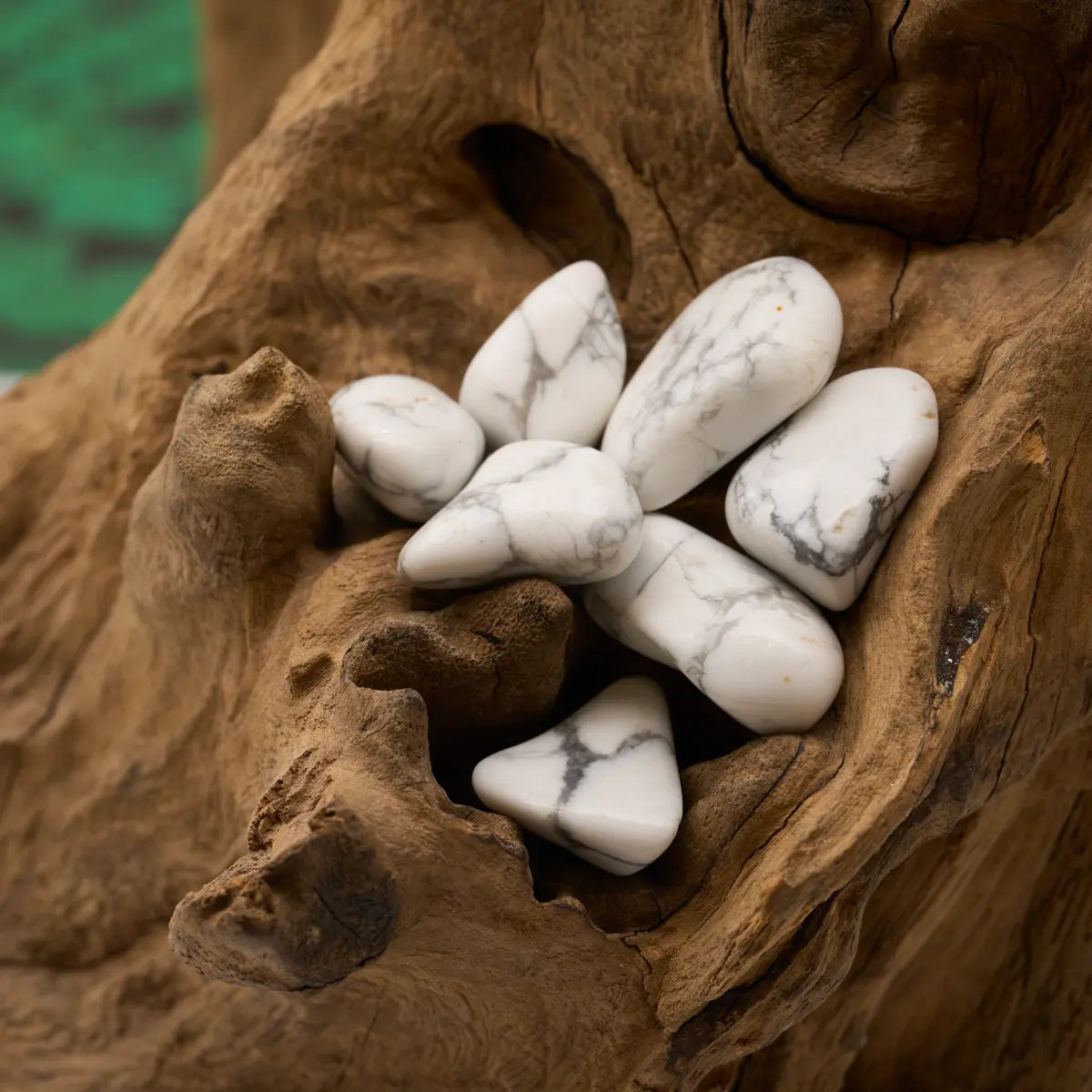 Weiß bis creme – beruhigt Gedanken und bringt Entspannung.