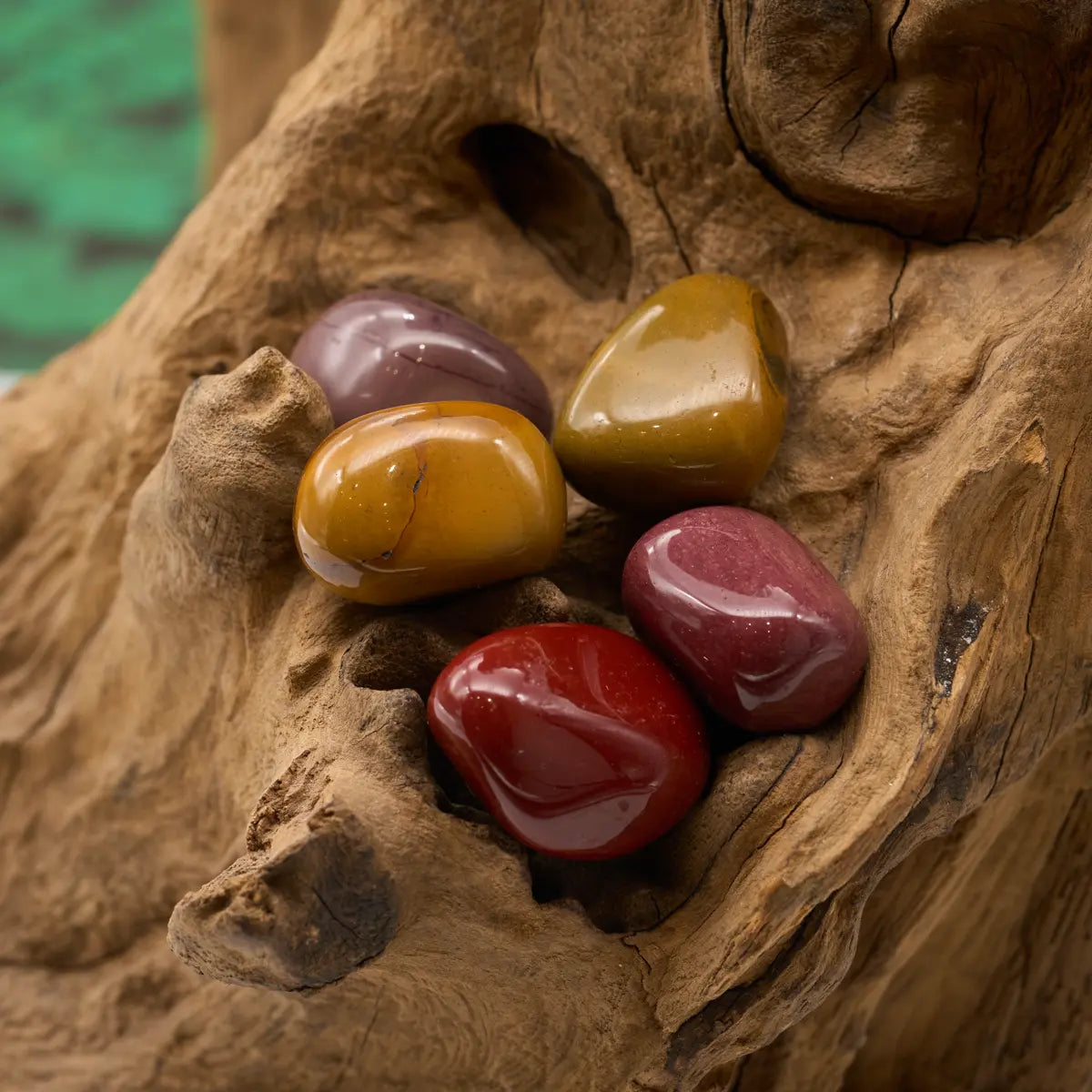 Bunt gemischt – stärkt Vitalität und Lebensmut.