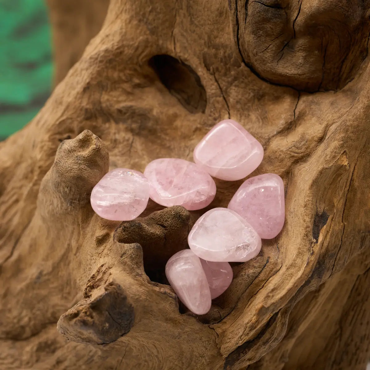 Zartrosé – öffnet Herz und fördert Selbstliebe.