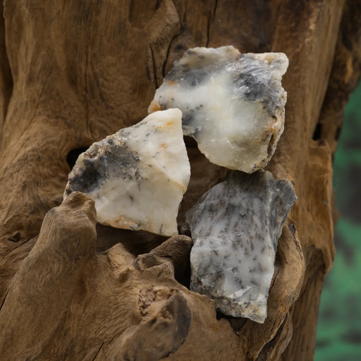 Weißer Dendritenopal-Rohstein – unterstützt Bewusstsein und Wachstum.