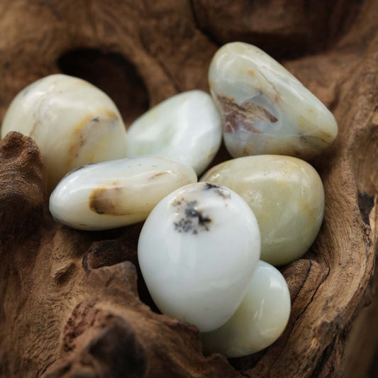 Opal "Andenopal" Trommelstein