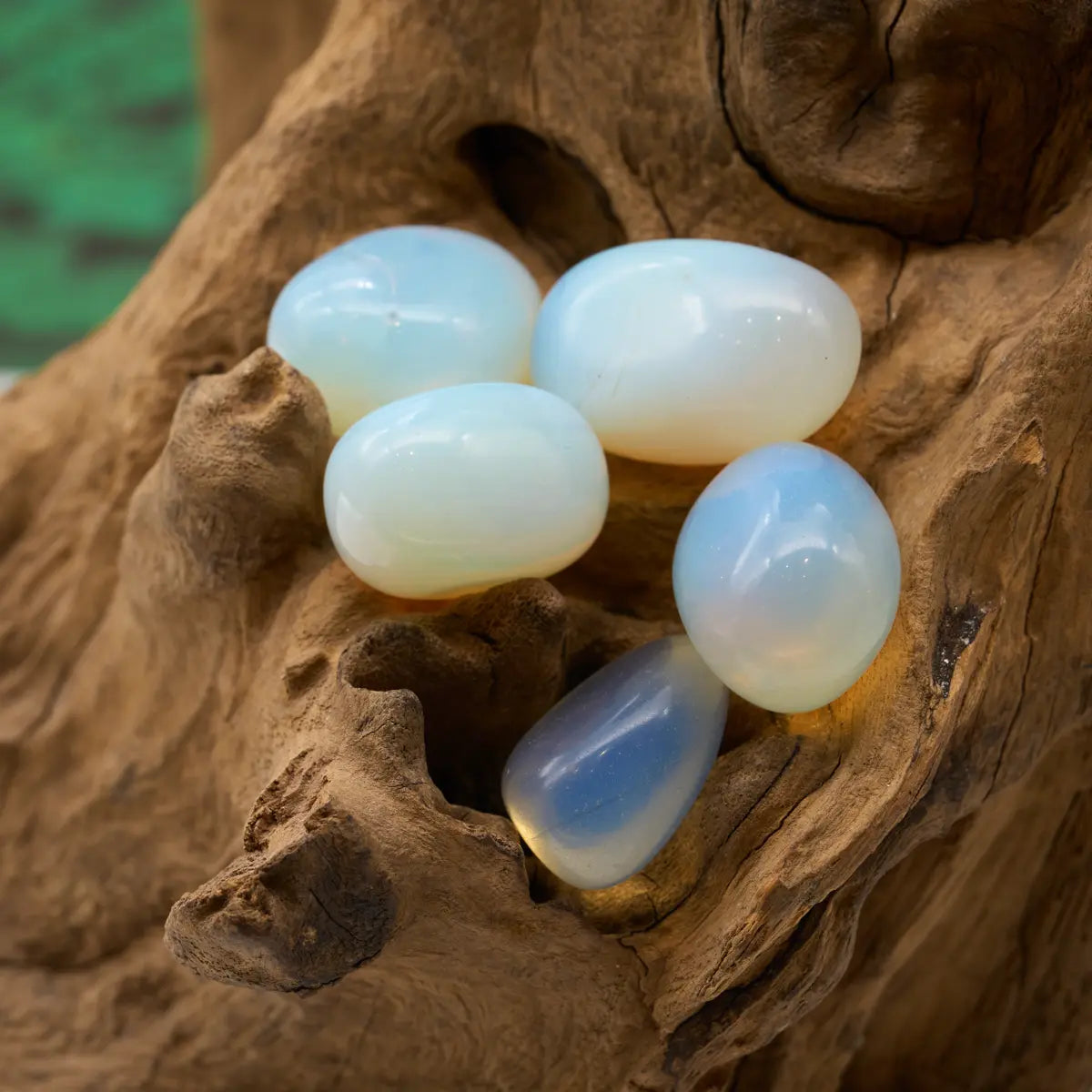 Schimmernd milchig – fördert Klarheit und spirituelle Wahrnehmung.