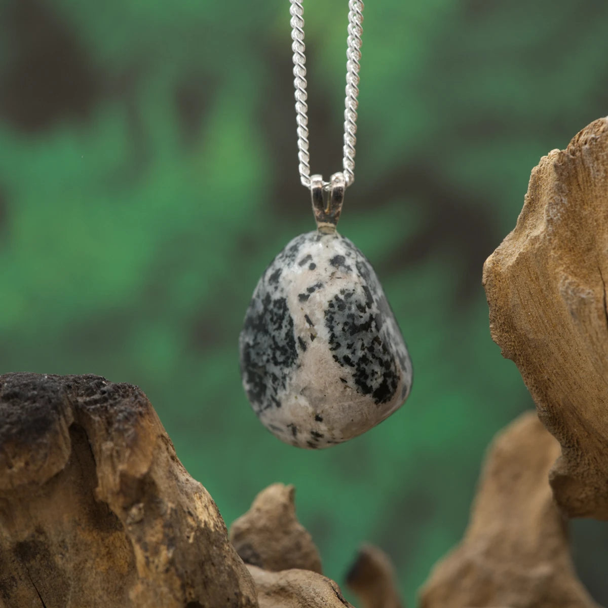 Dunkler Orbiculit mit runden Mustern – Schutz, Stabilität, Erdung.