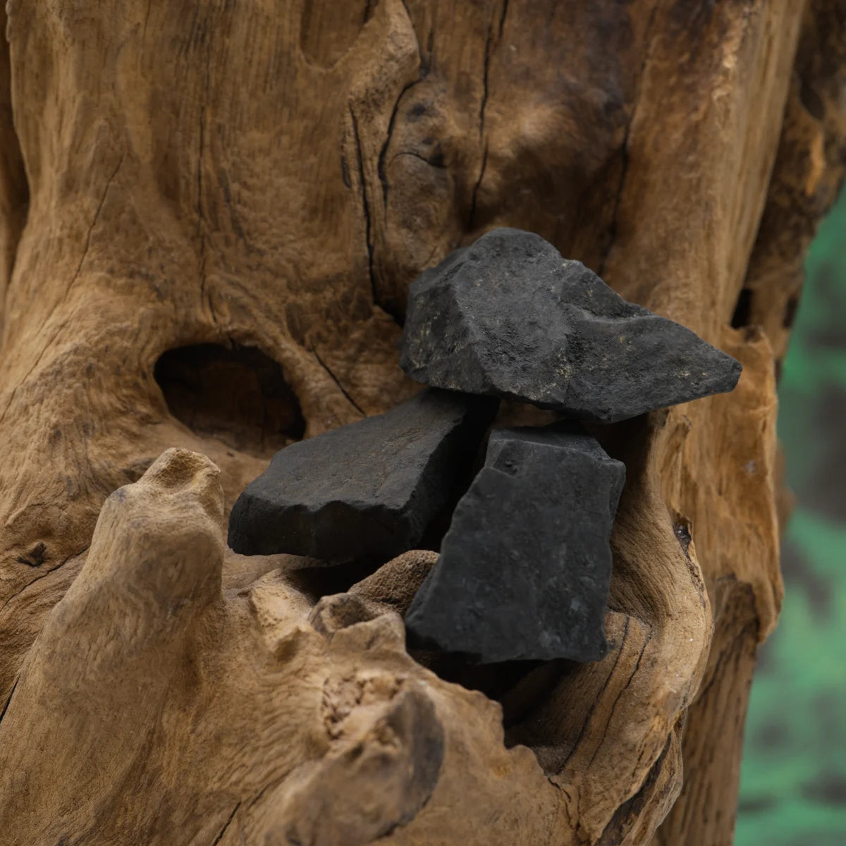 Schwarzer Schungit-Rohstein – reinigt und schützt energetisch.