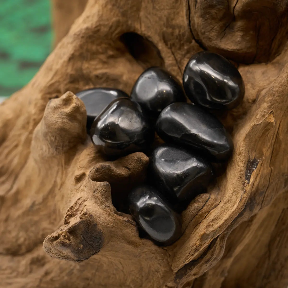 Schwarzer Schungit – kraftvoller Schutzstein zur Reinigung negativer Energien.