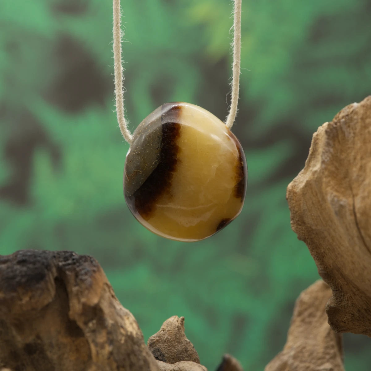 Fossile Septarie – Erdung, Stabilität und innere Sammlung.