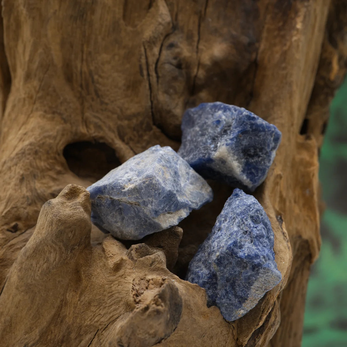 Blauer Sodalith-Rohstein – fördert Klarheit und harmonische Kommunikation.