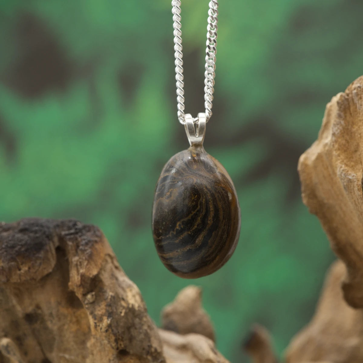 Fossiler Stromatolith – Erdgeschichte, Erdung und organische Muster.