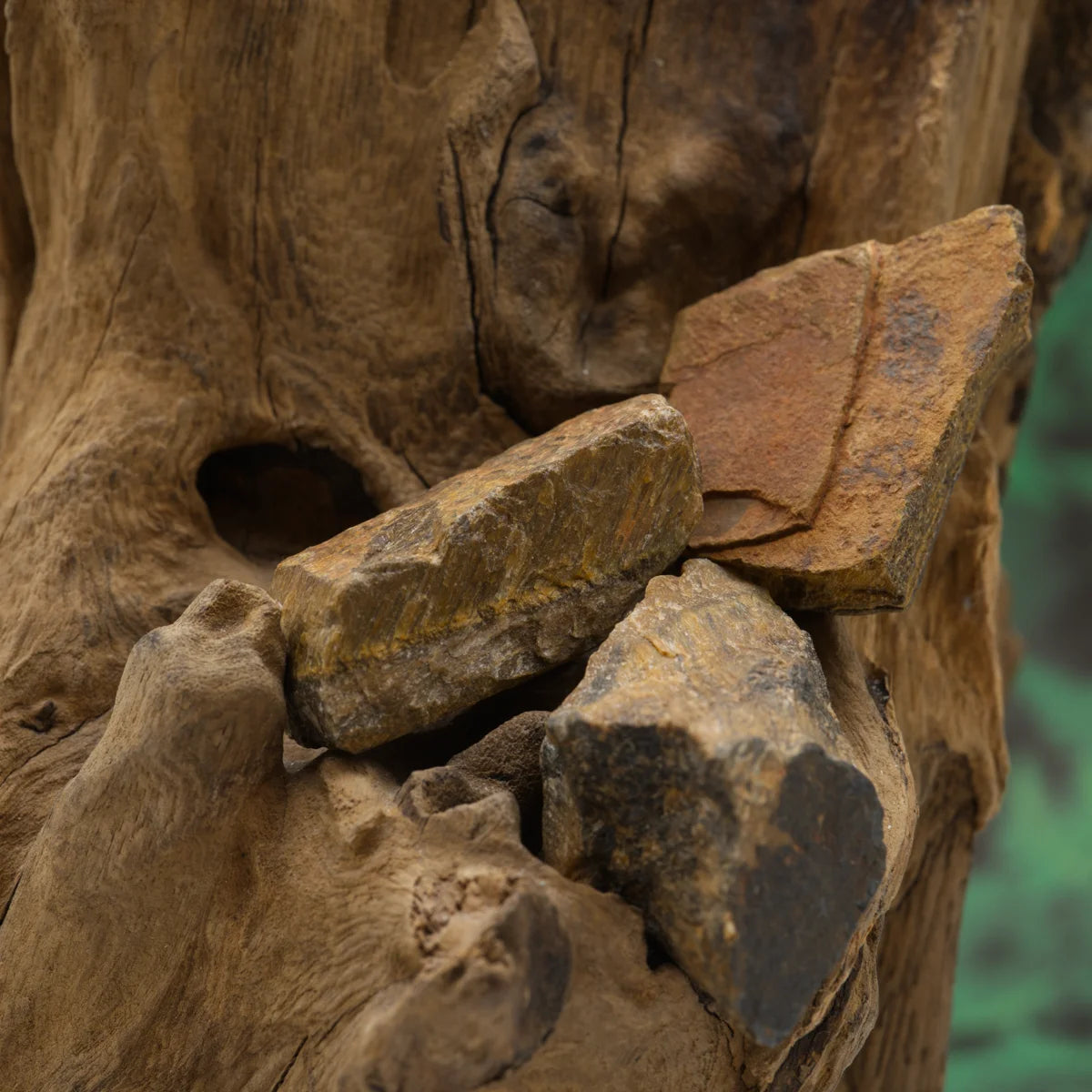 Goldbrauner Tigerauge-Rohstein – schützt und schenkt Selbstvertrauen.