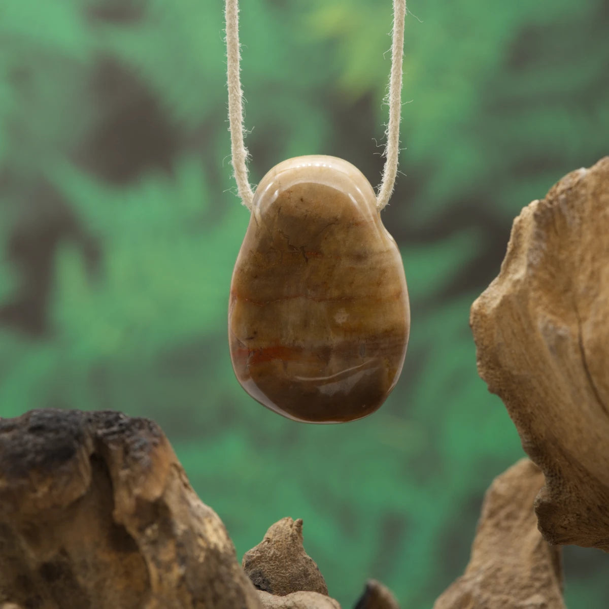 Braun-beiges Fossilholz – Stabilität, Ruhe und Beständigkeit.