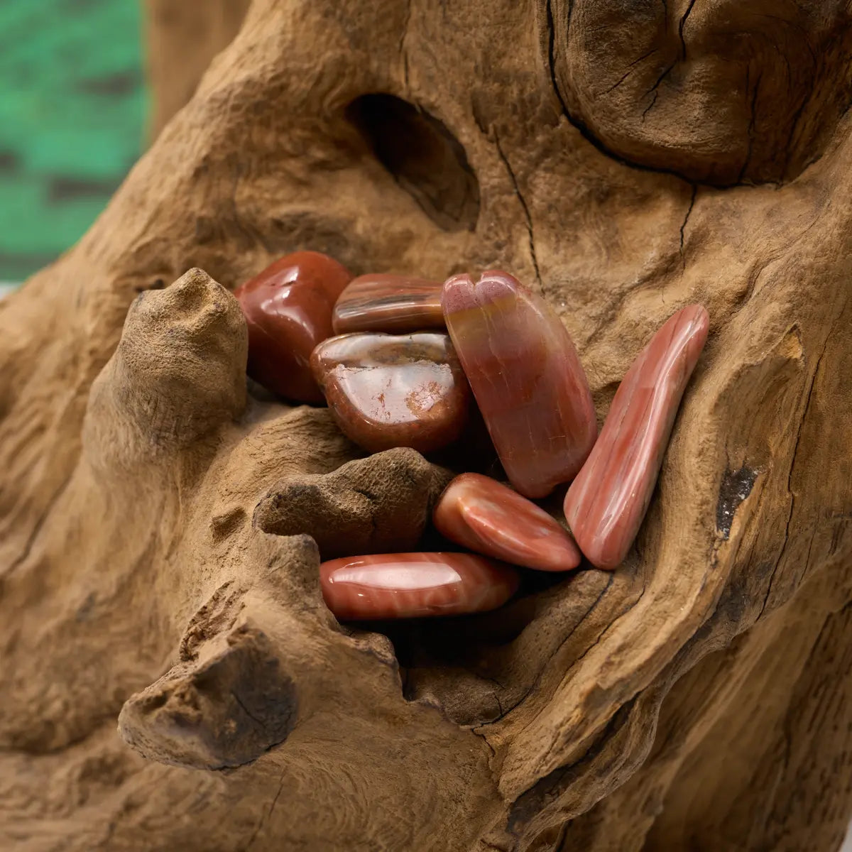 Braun gemasertes, fossiles Holz – schenkt Erdung, Geduld und innere Stärke.