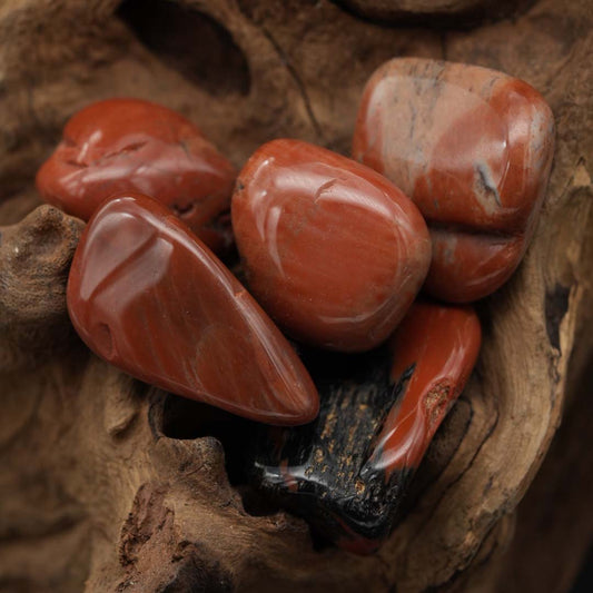 Versteinertes Holz Trommelstein