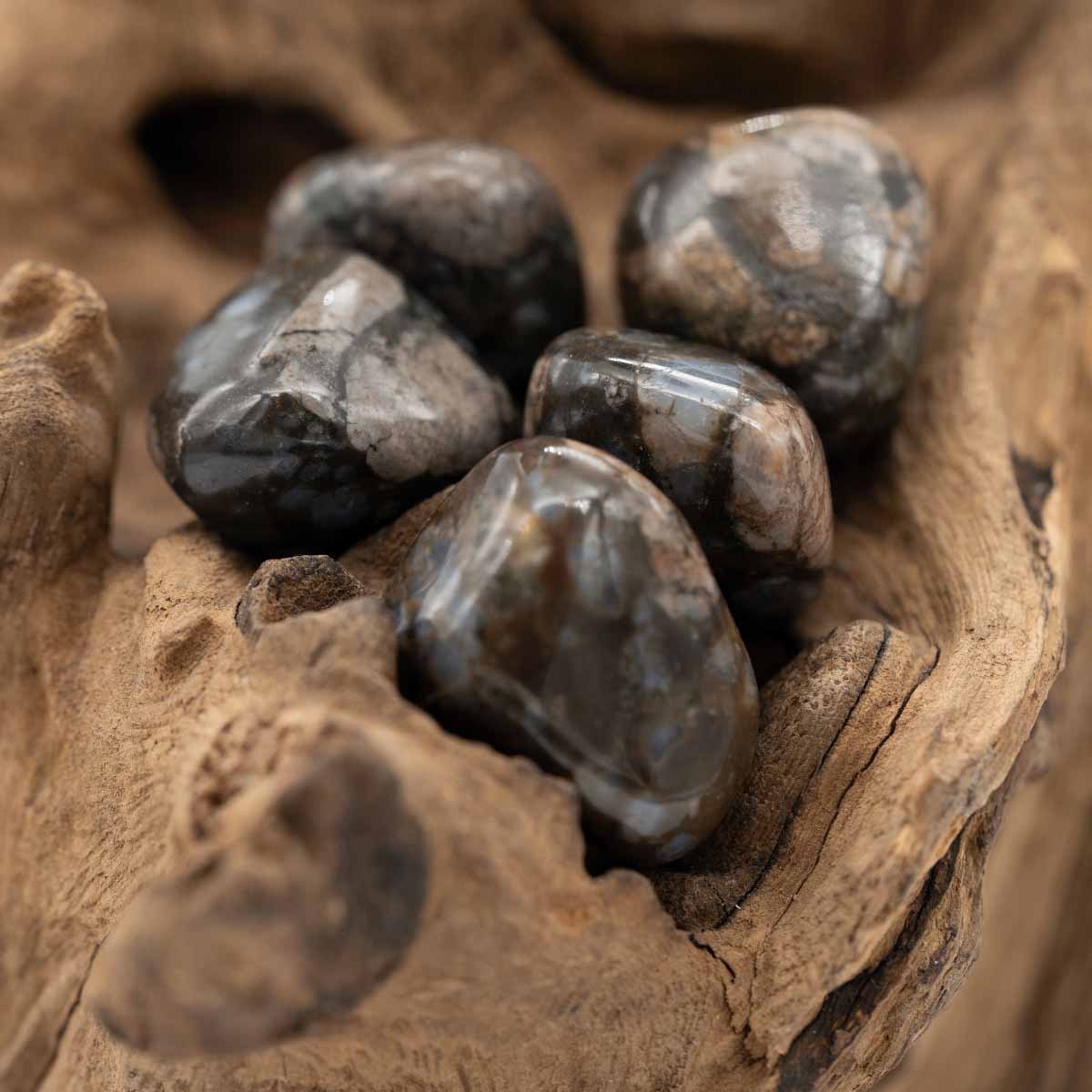 Vulkanit "Rhyolith" Trommelstein