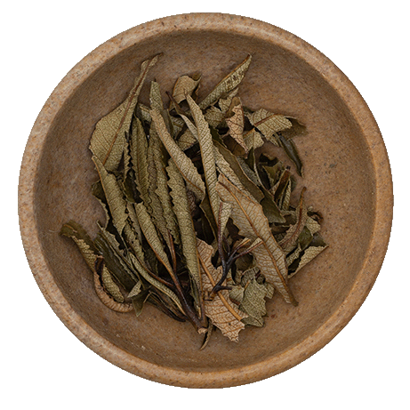Yerba Santa
