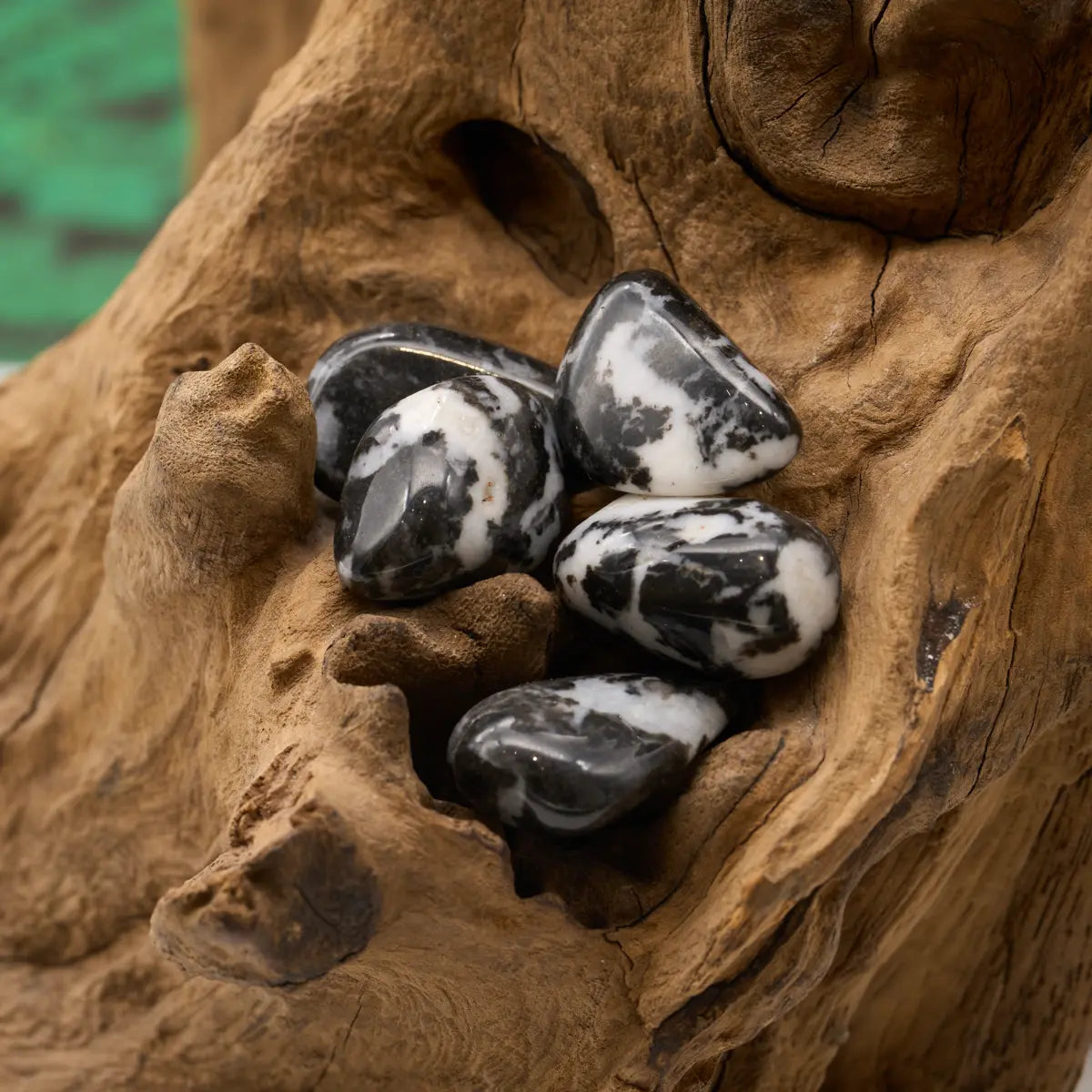 Schwarz-weiß gestreifter Stein – symbolisiert Balance, Klarheit und Ausgleich.