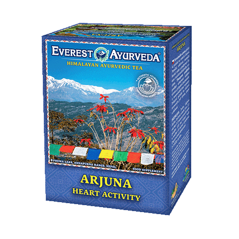 Arjuna
