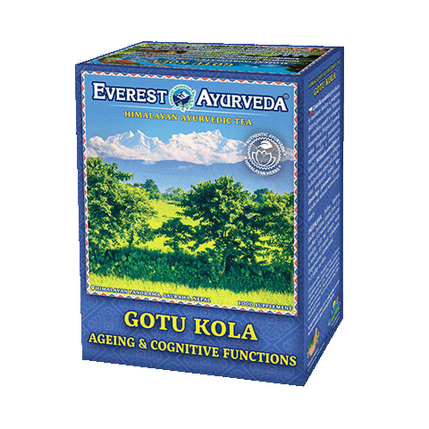 Gotu Kola