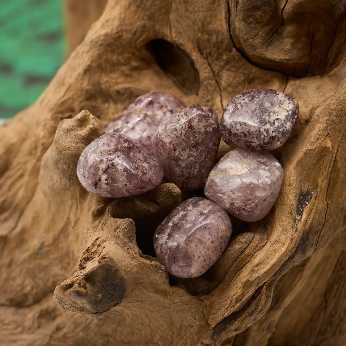 Dunkel, feinkörnig – stabilisiert und zentriert.