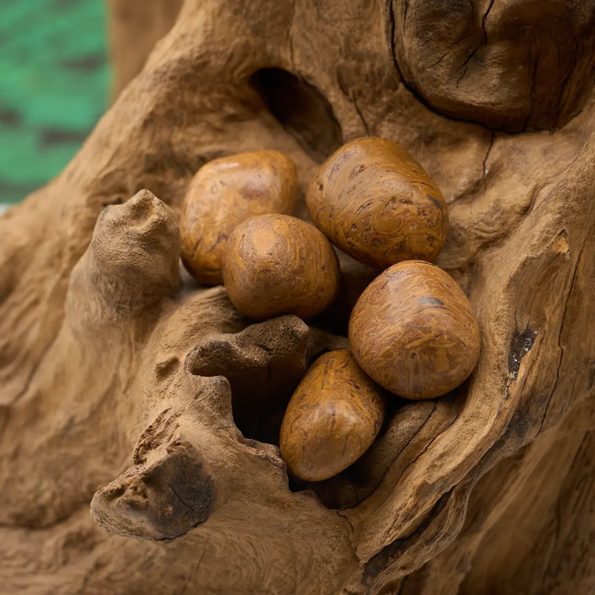 gebändert – transformiert und schützt.