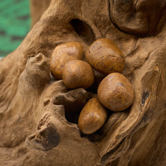 gebändert – transformiert und schützt.