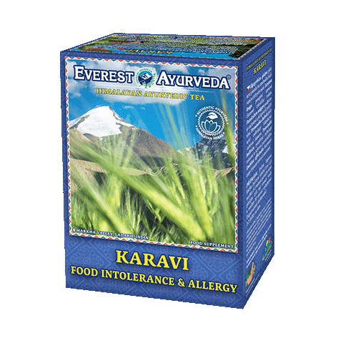 Karavi