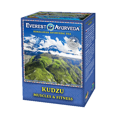 Kudzu