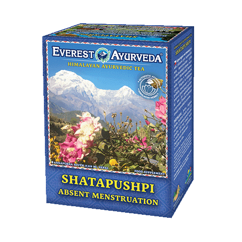 Shatapushpi