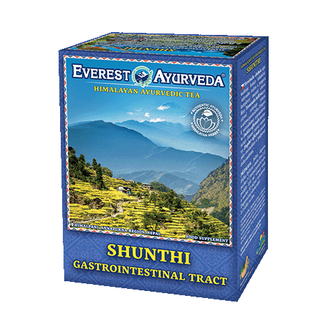 Shunthi