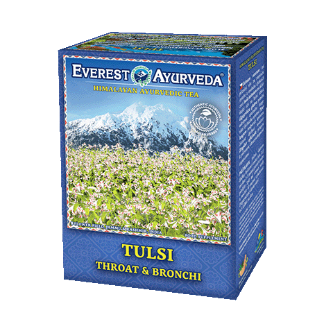 Tulsi