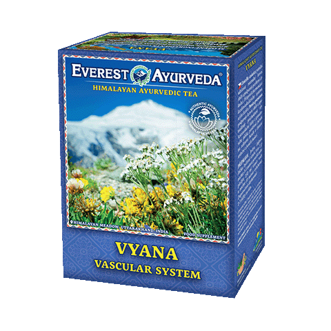 Vyana
