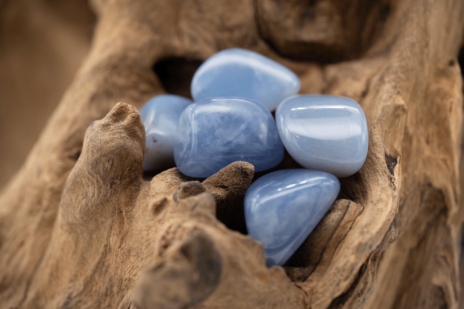 Chalcedon blau der Kategorie Trommelsteine