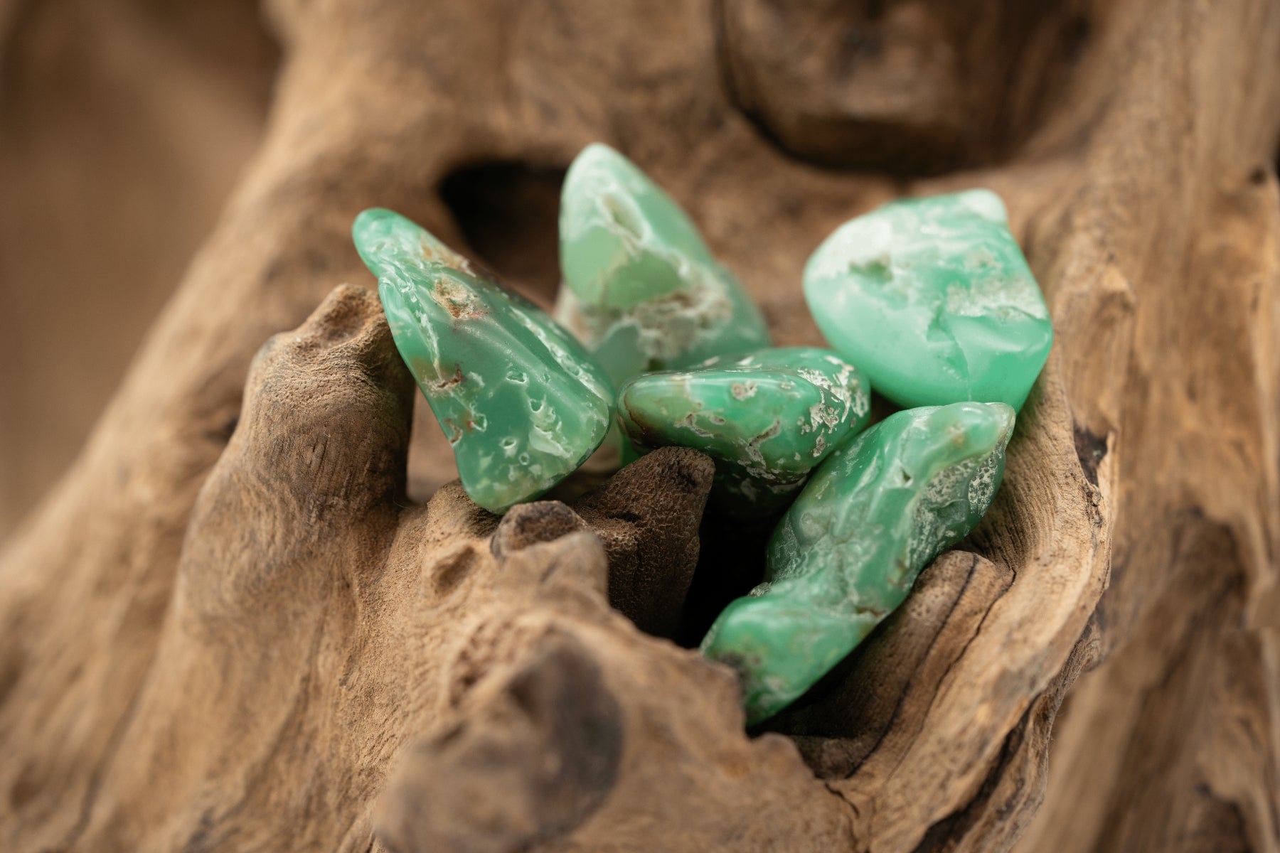 Chrysopras der Kategorie Trommelsteine