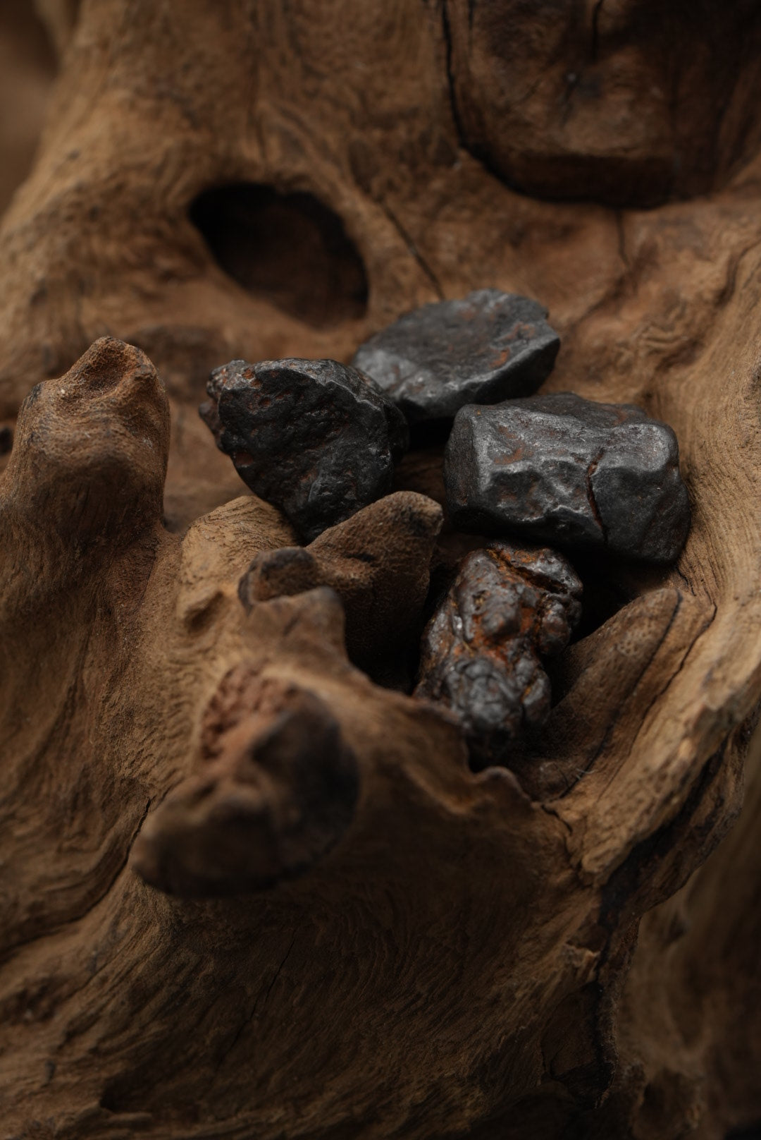 Eisenmeteorite der Kategorie Trommelsteine